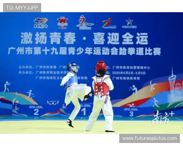 跆拳道赛事全攻略 从入门到高手的观赛指南